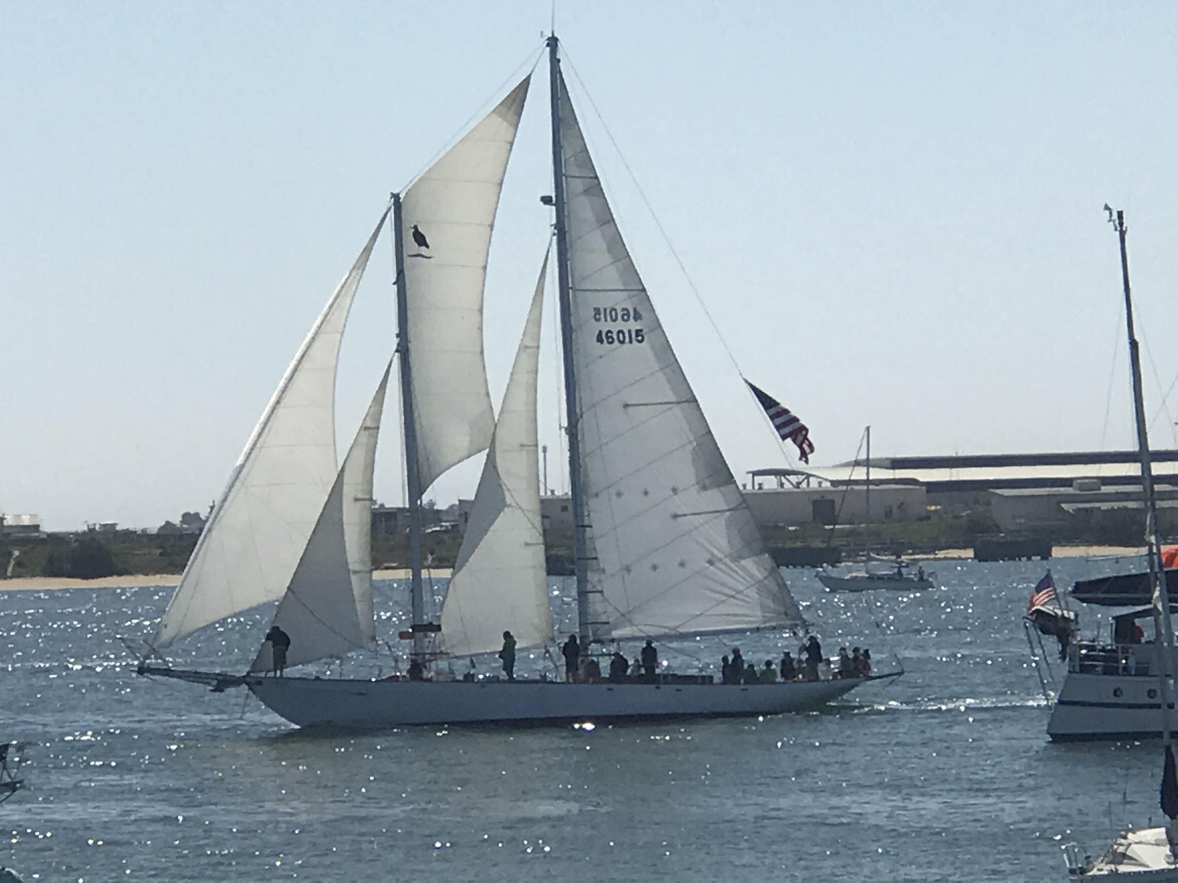 Schooner Cup 2017