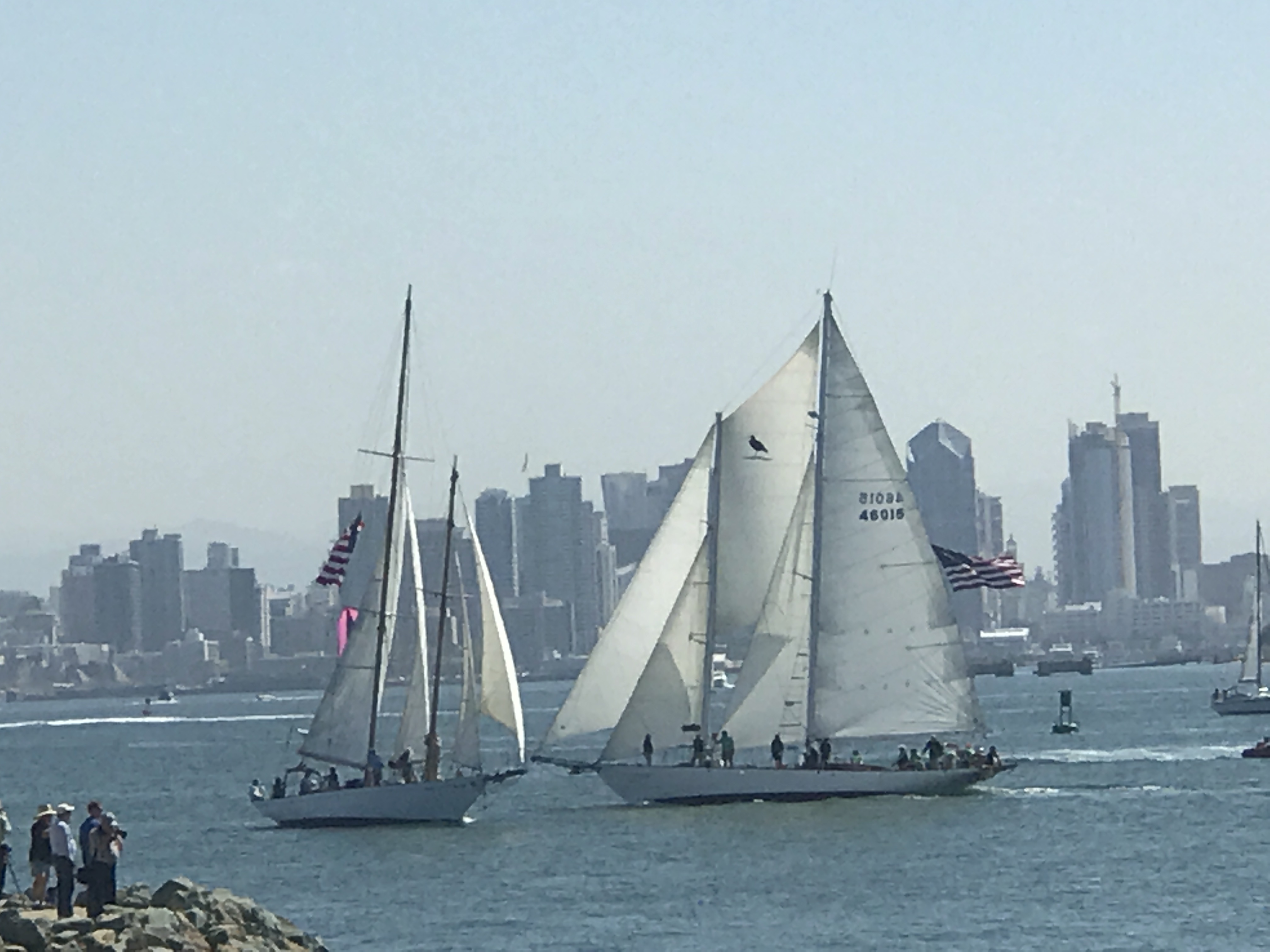 Schooner Cup 2017