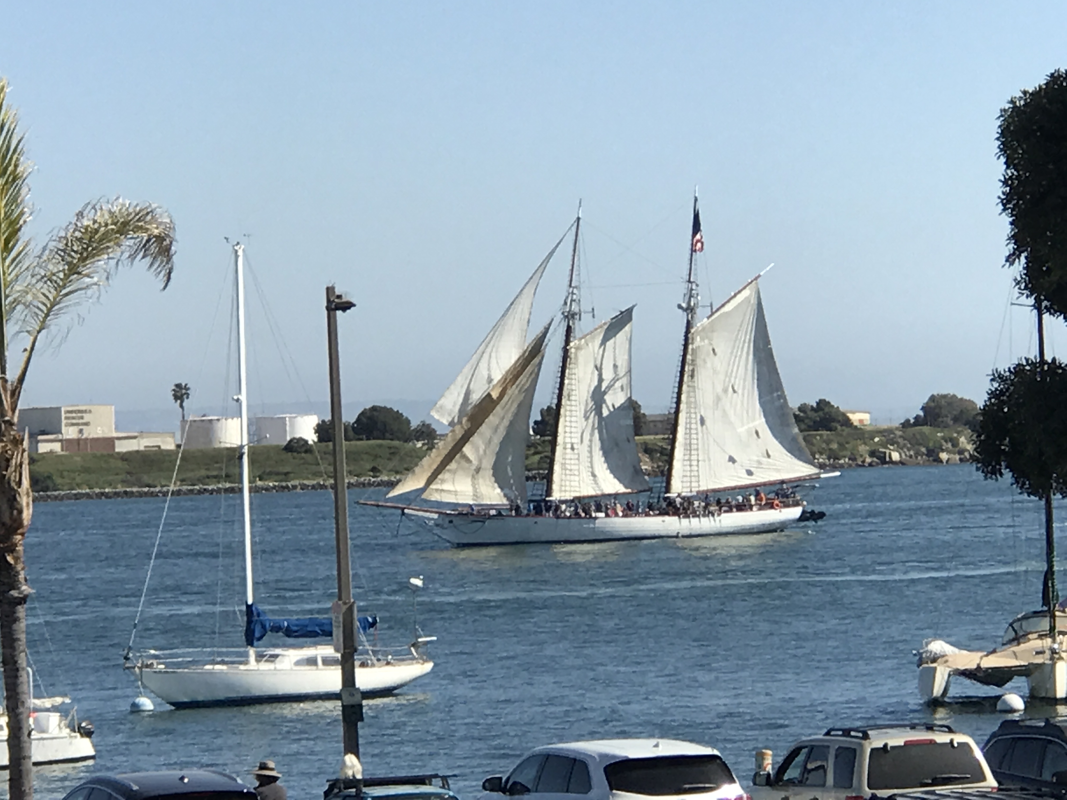 Schooner Cup 2017